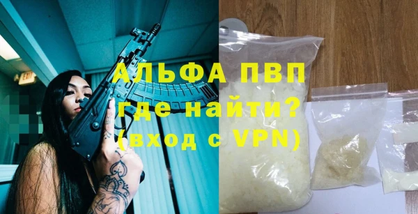 индика Алексин