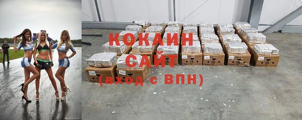 индика Алексин