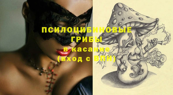индика Алексин