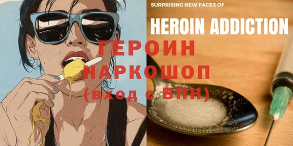 индика Алексин