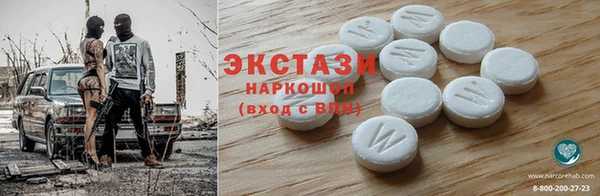 индика Алексин