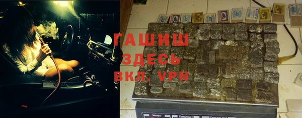 индика Алексин