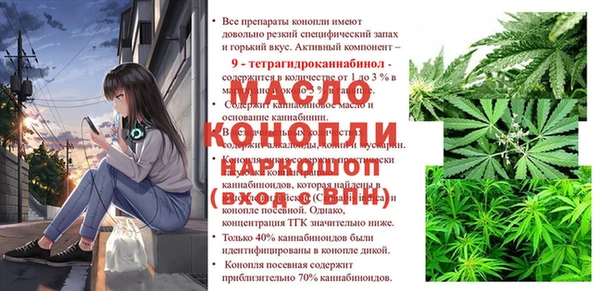 индика Алексин