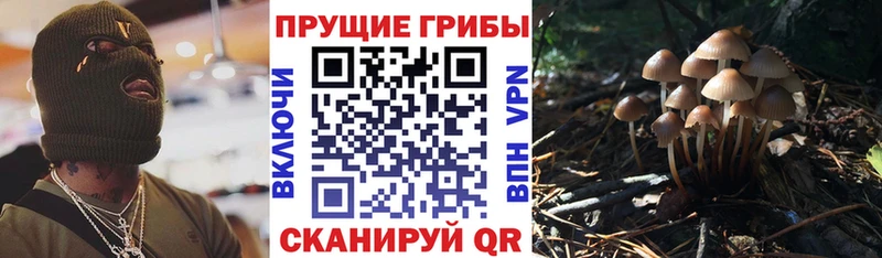 Галлюциногенные грибы мицелий  ссылка на мегу tor  Коряжма 