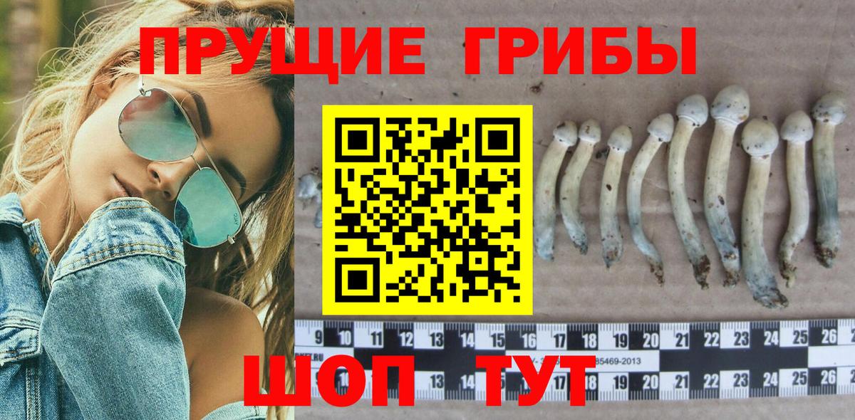 дарнет шоп  Галлюциногенные грибы MAGIC MUSHROOMS  Вход с VPN  Коряжма 