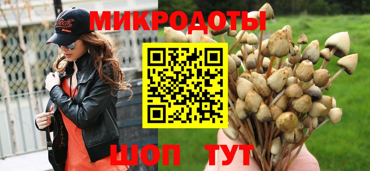 Псилоцибиновые грибы Psilocybine cubensis Коряжма